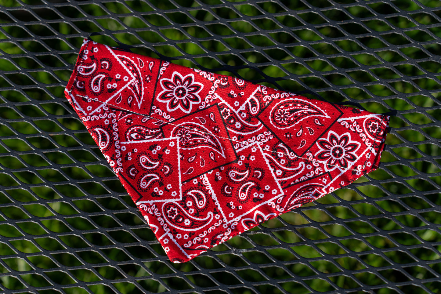 Western Flare Slip-On Bandana