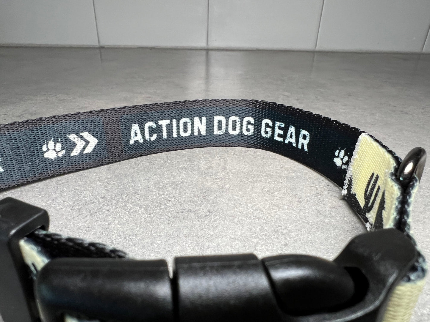 UV COLOR CHANGING Yellow to Blue Desert Dog Collar | Hand Painted Dog Collar