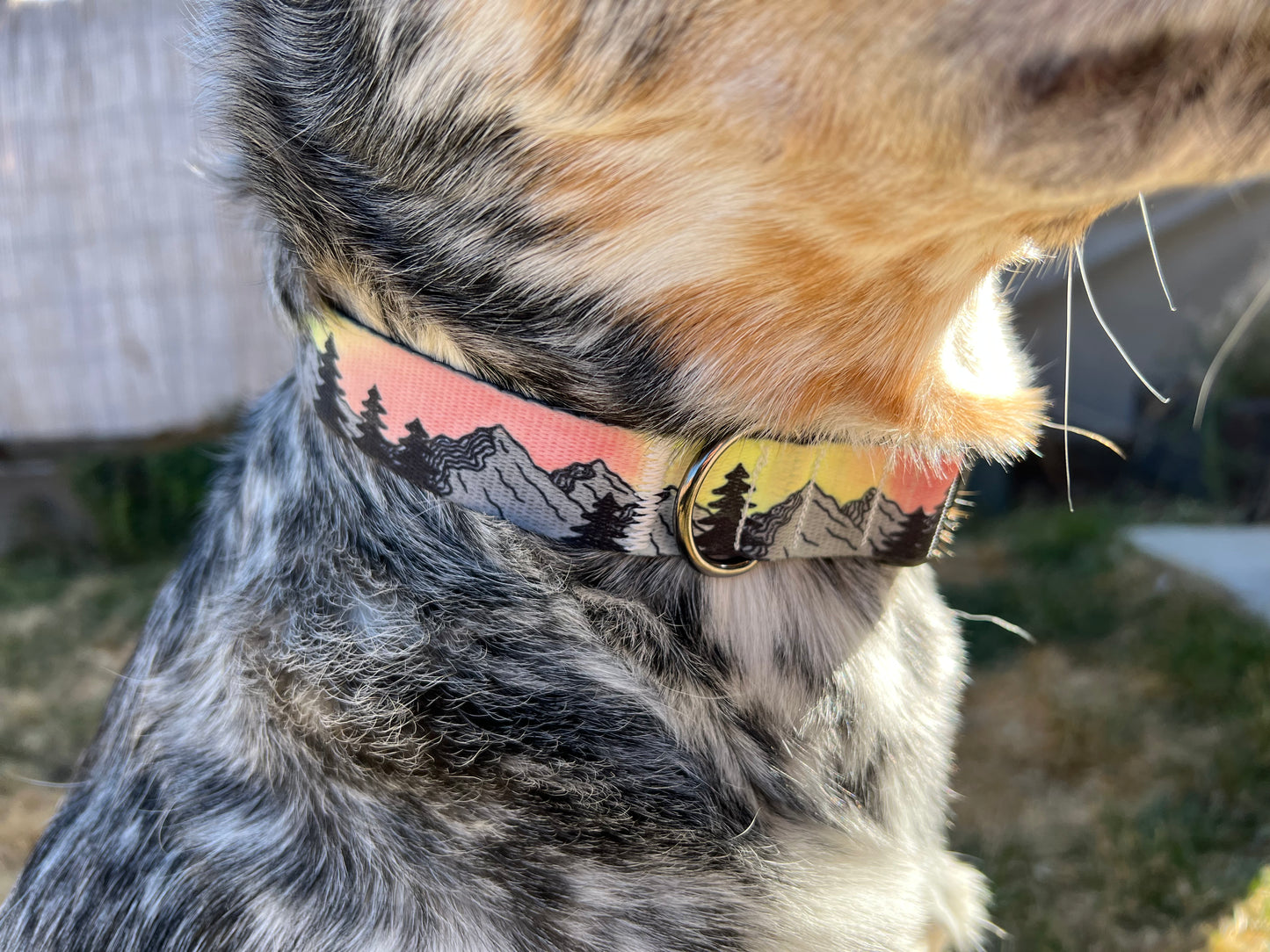 COLOR CHANGING Sunset Mountain Dog Collar | Hand Painted Dog Collar