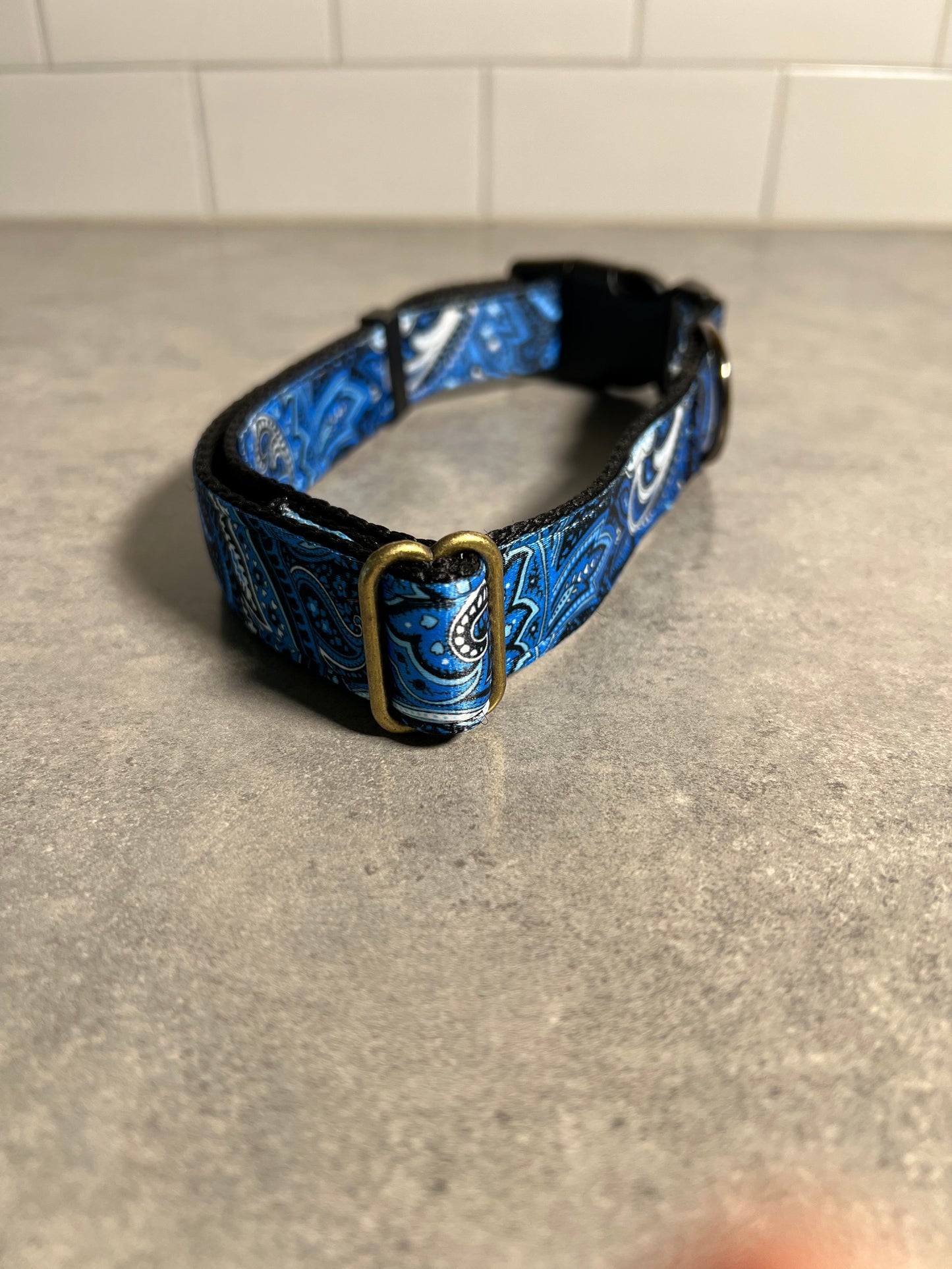 Paisley on Fire or Ice | Handmade Dog Collar