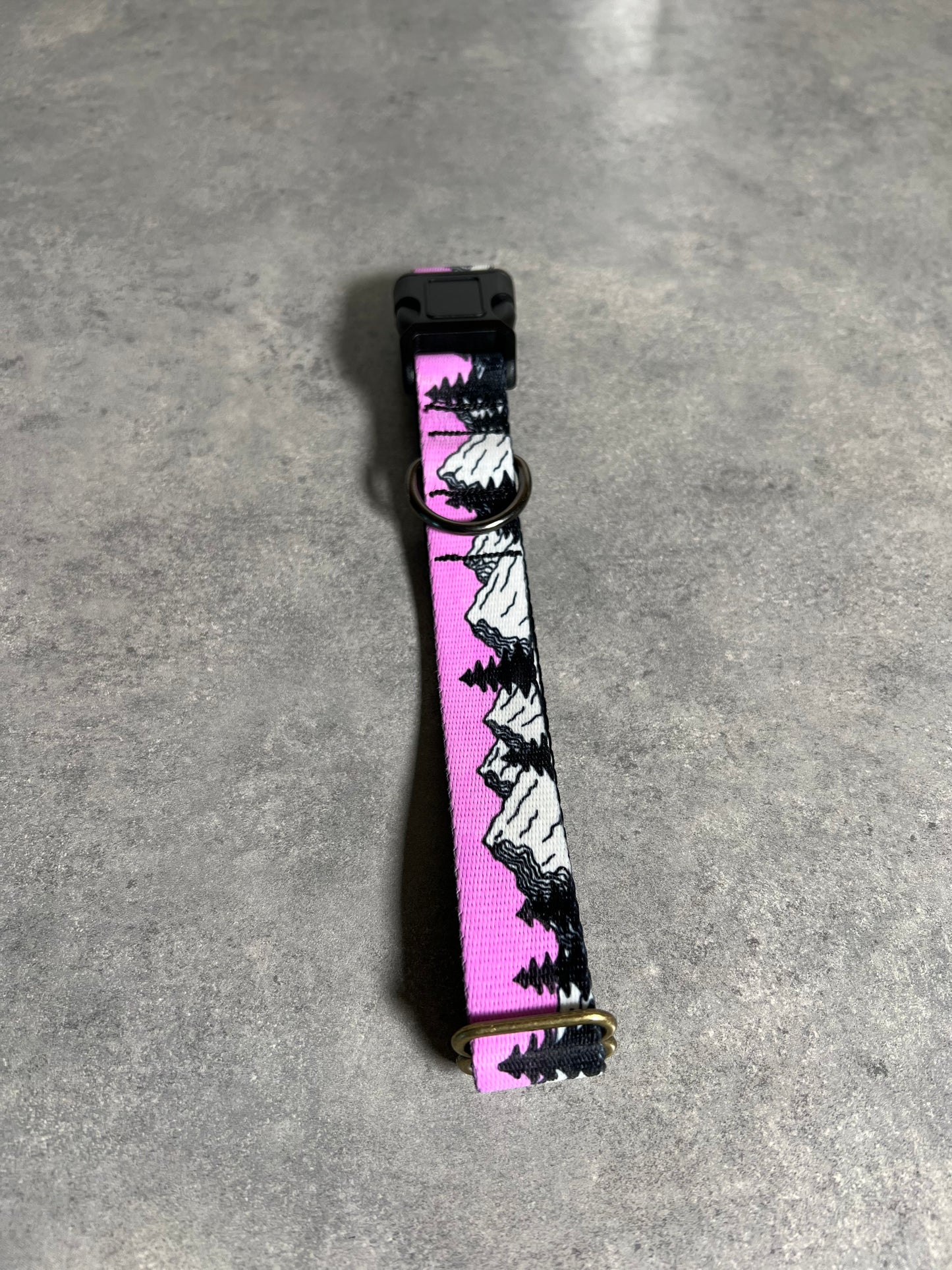 COLOR CHANGING Sunrise Mountain Dog Collar | Hand Painted Dog Collar