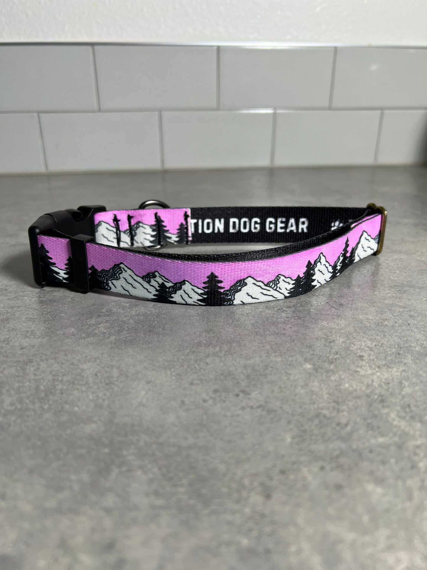 COLOR CHANGING Sunrise Mountain Dog Collar | Hand Painted Dog Collar