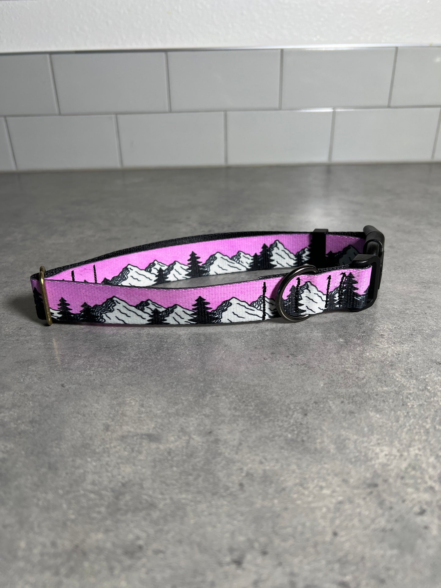 COLOR CHANGING Sunrise Mountain Dog Collar | Hand Painted Dog Collar