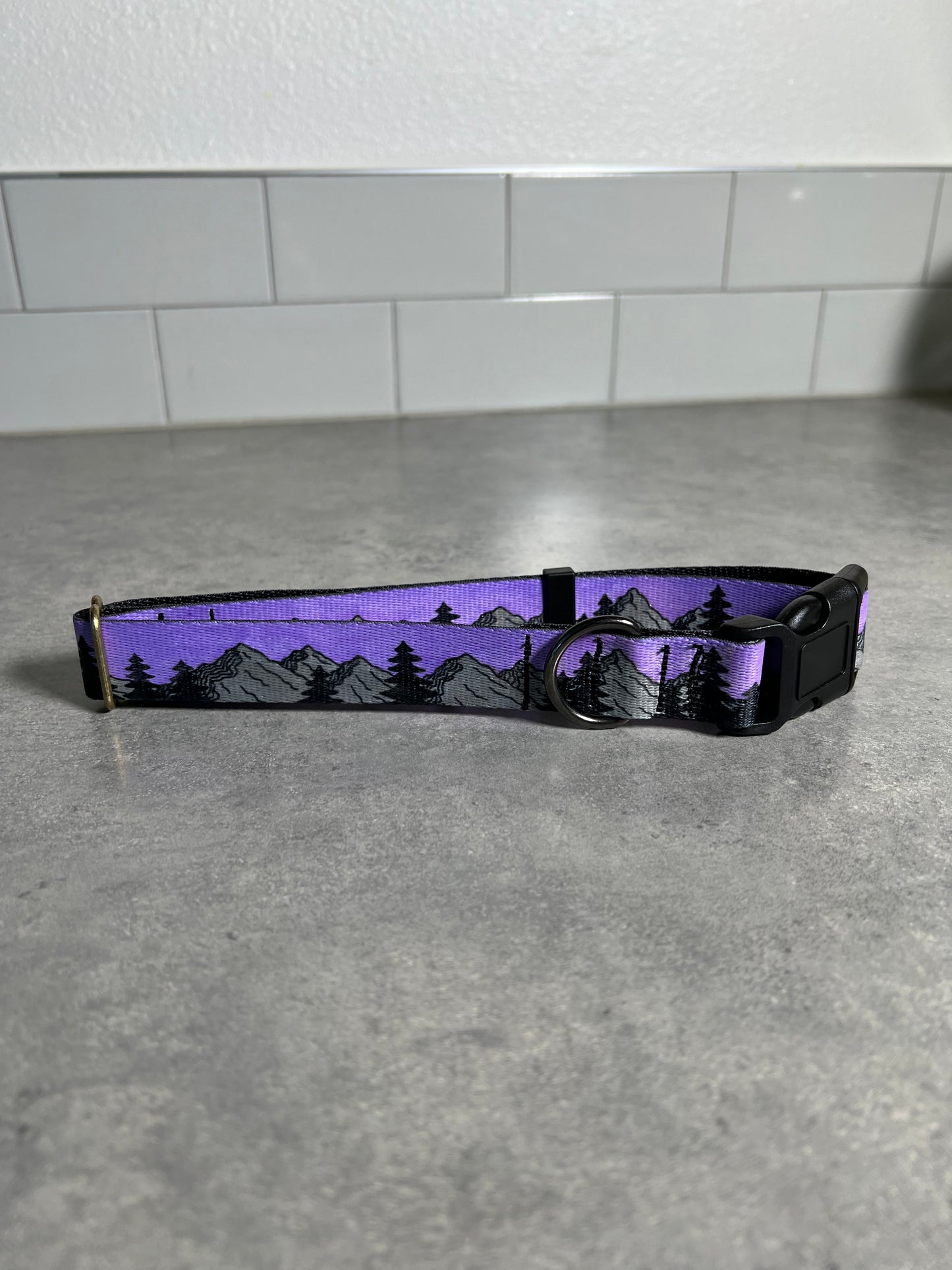 COLOR CHANGING Sunrise Mountain Dog Collar | Hand Painted Dog Collar