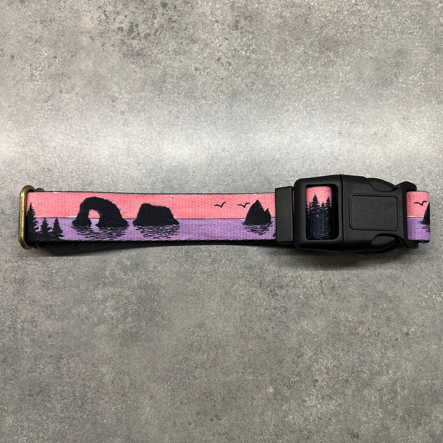 COLOR CHANGING Rockaway and Cannon Beach Dog Collar | Hand Painted Dog Collar