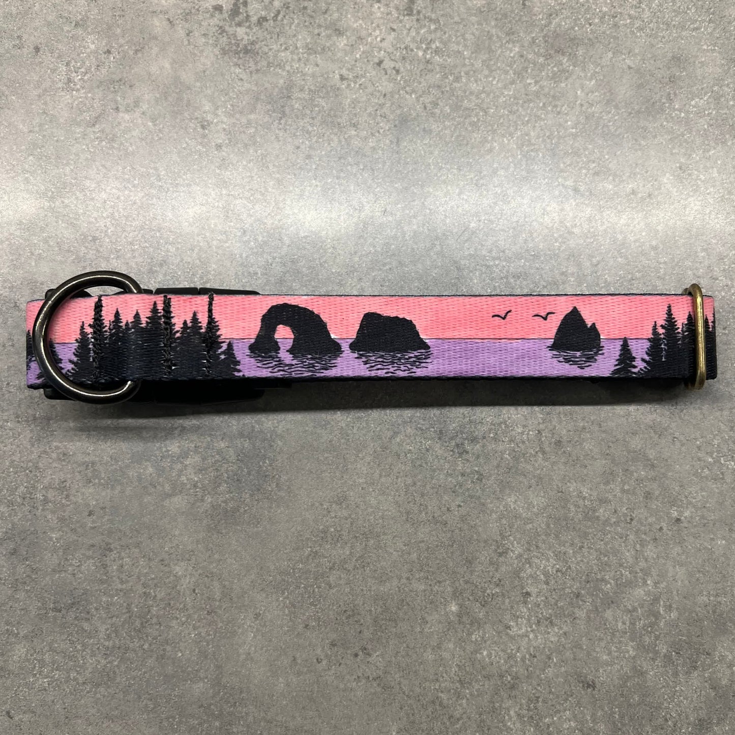COLOR CHANGING Rockaway and Cannon Beach Dog Collar | Hand Painted Dog Collar
