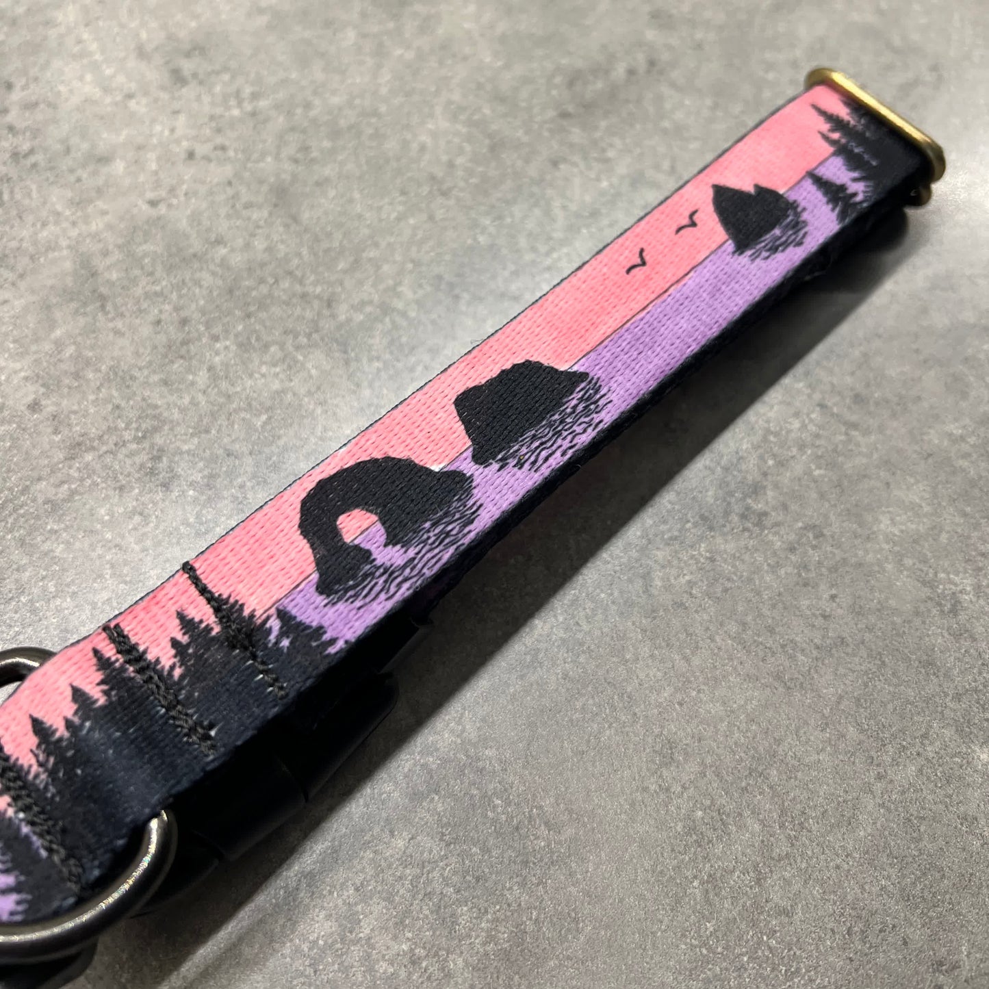 COLOR CHANGING Rockaway and Cannon Beach Dog Collar | Hand Painted Dog Collar