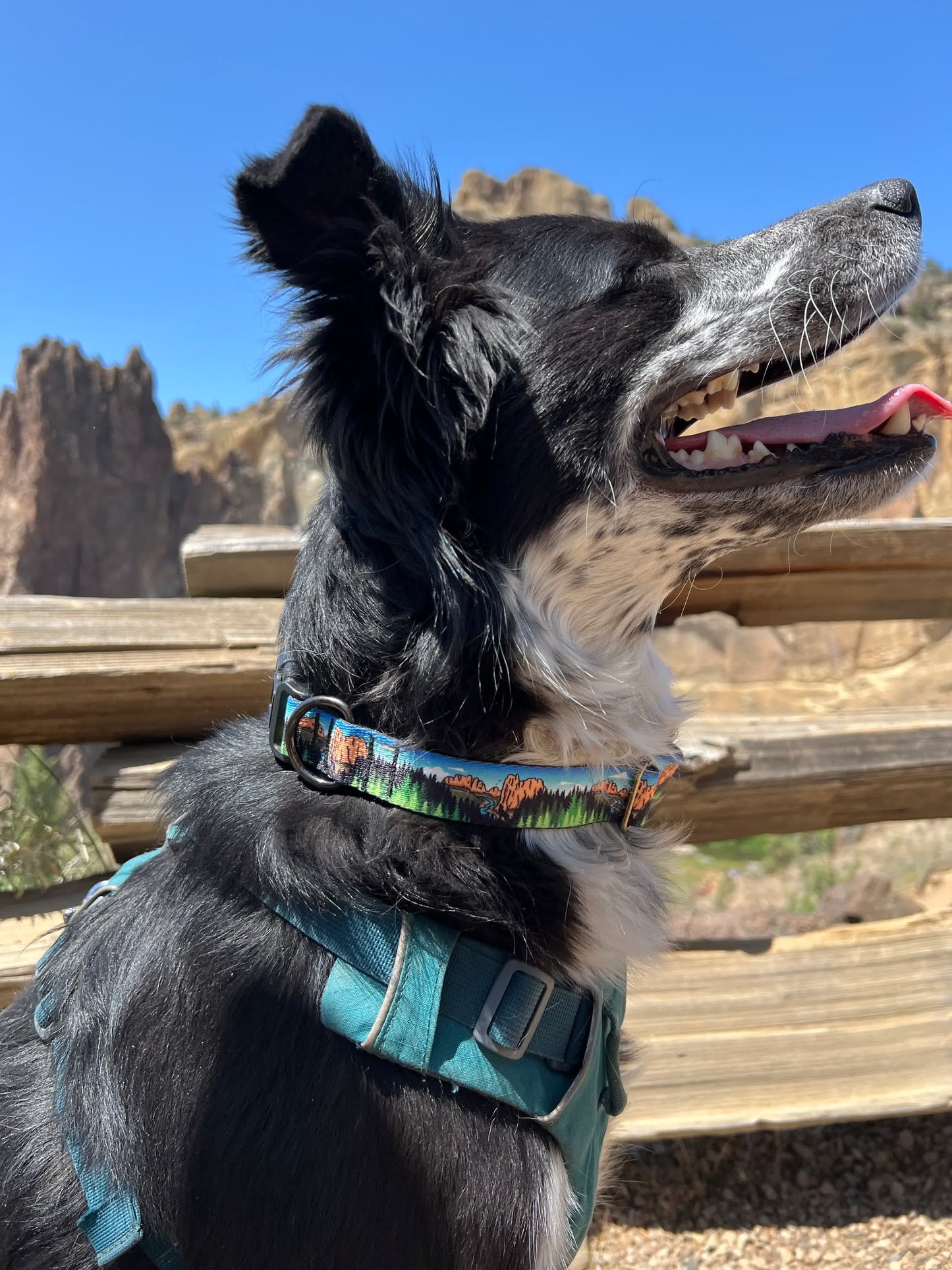 Smith Rock Adventures Dog Collar | Handmade Dog Collar