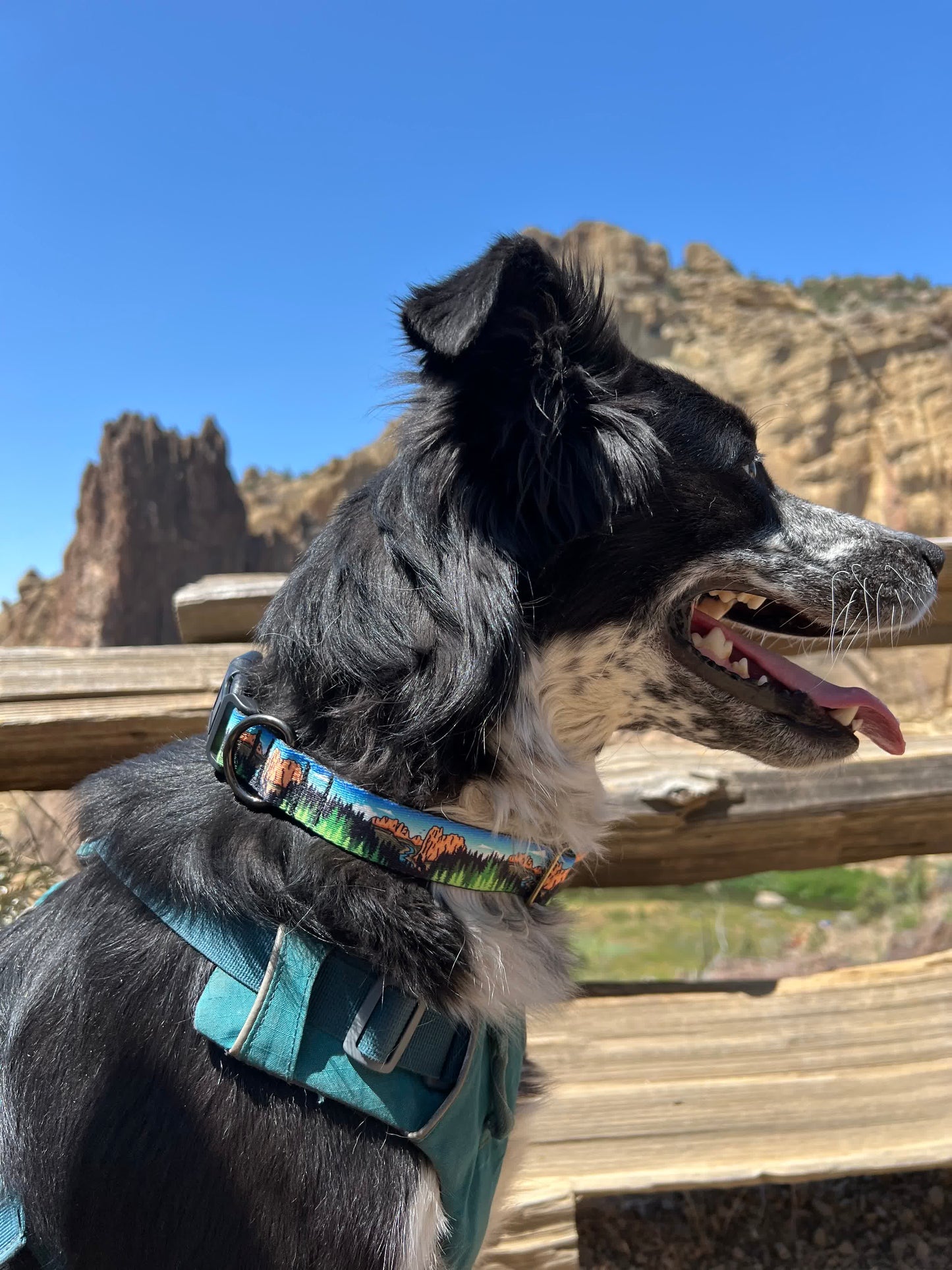 Smith Rock Adventures Dog Collar | Handmade Dog Collar