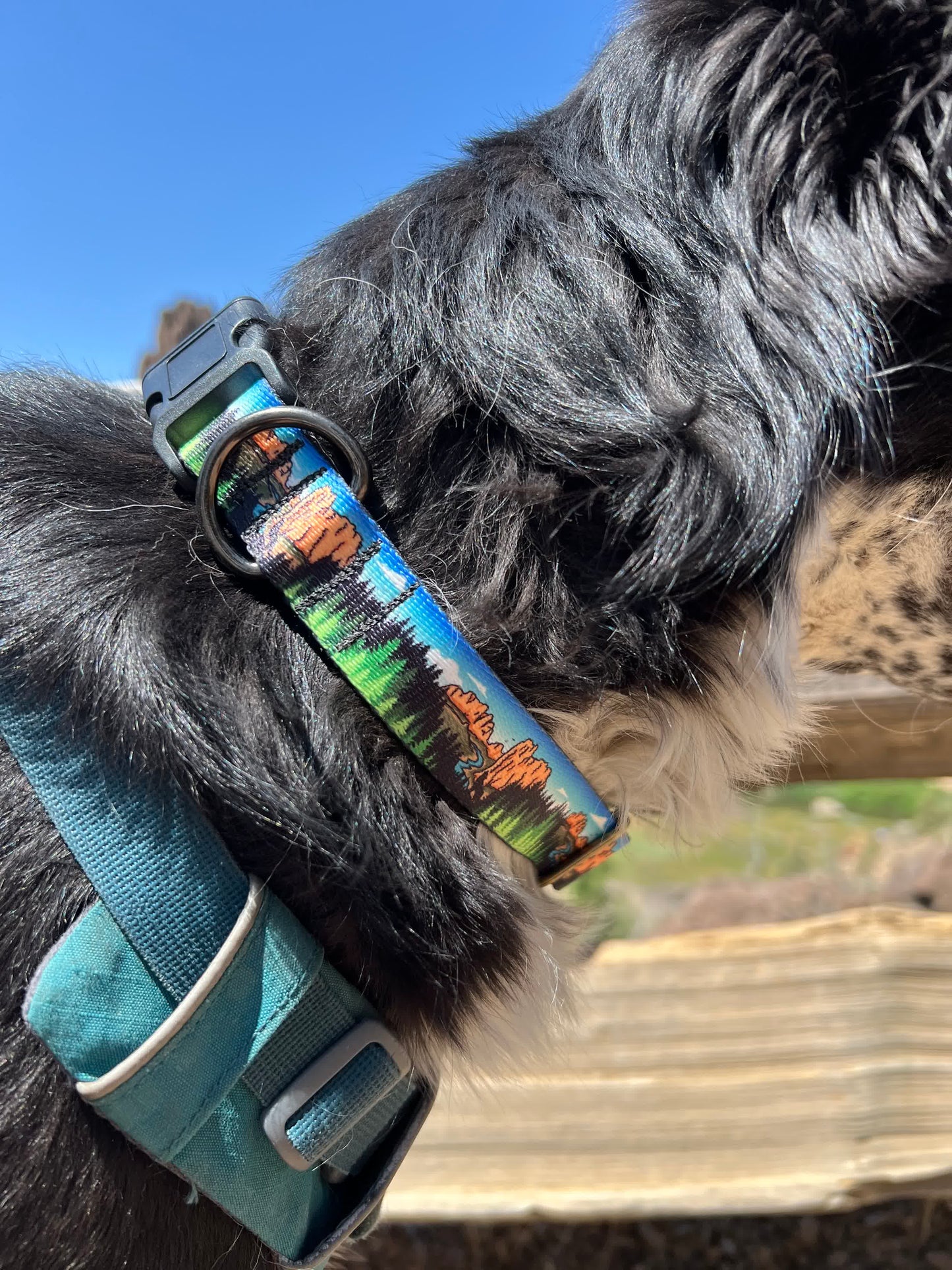 Smith Rock Adventures Dog Collar | Handmade Dog Collar