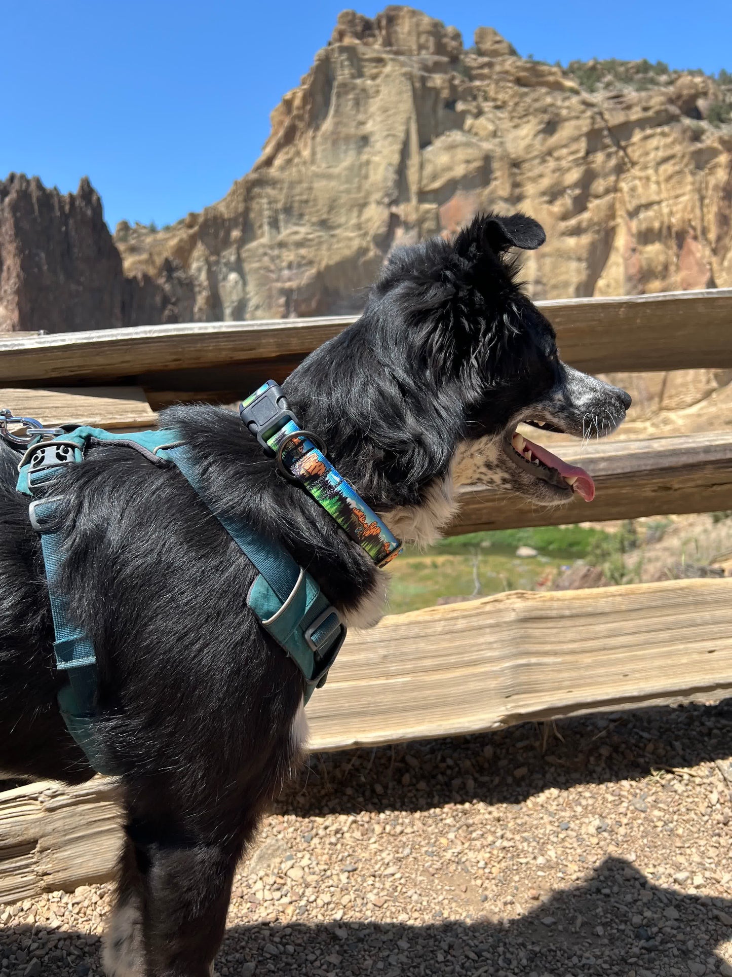 Smith Rock Adventures Dog Collar | Handmade Dog Collar