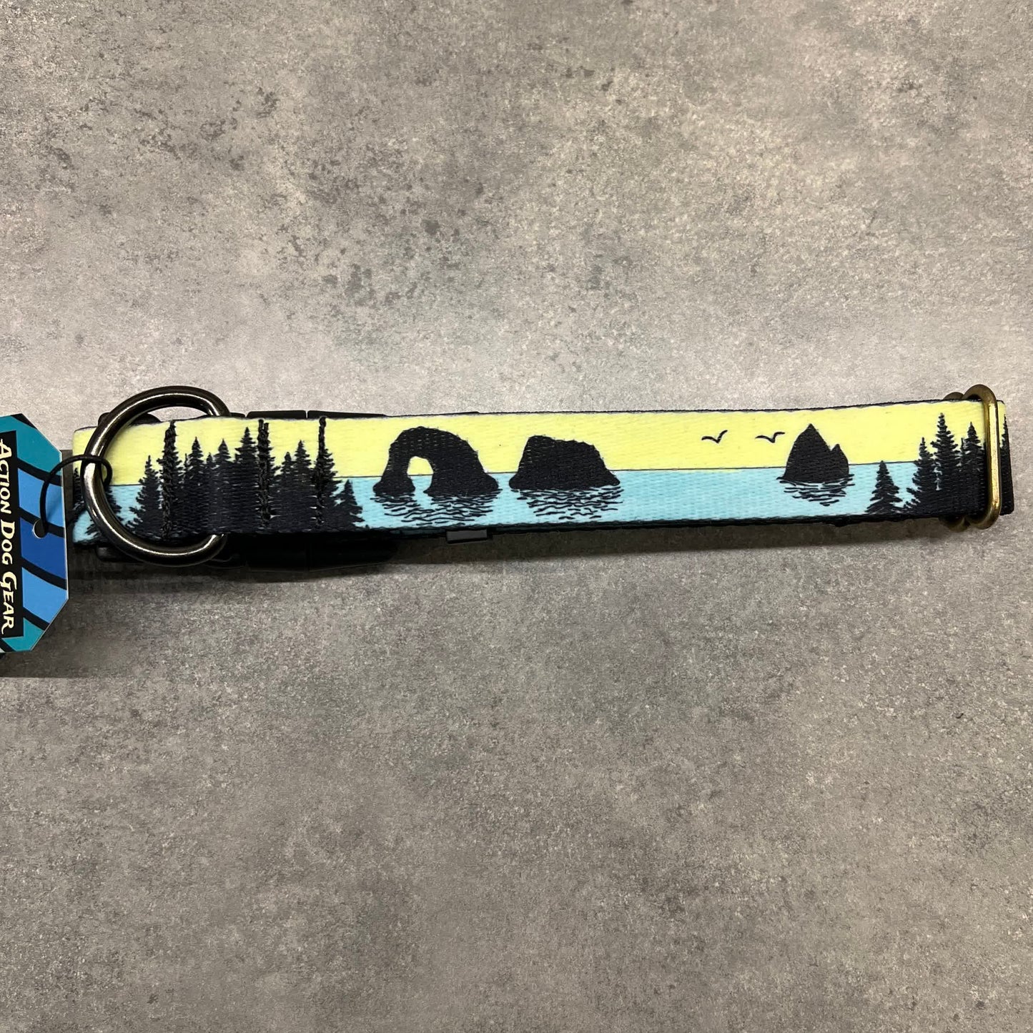COLOR CHANGING Rockaway and Cannon Beach Dog Collar | Hand Painted Dog Collar