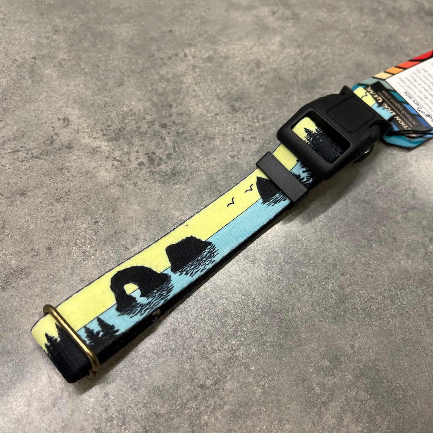COLOR CHANGING Rockaway and Cannon Beach Dog Collar | Hand Painted Dog Collar