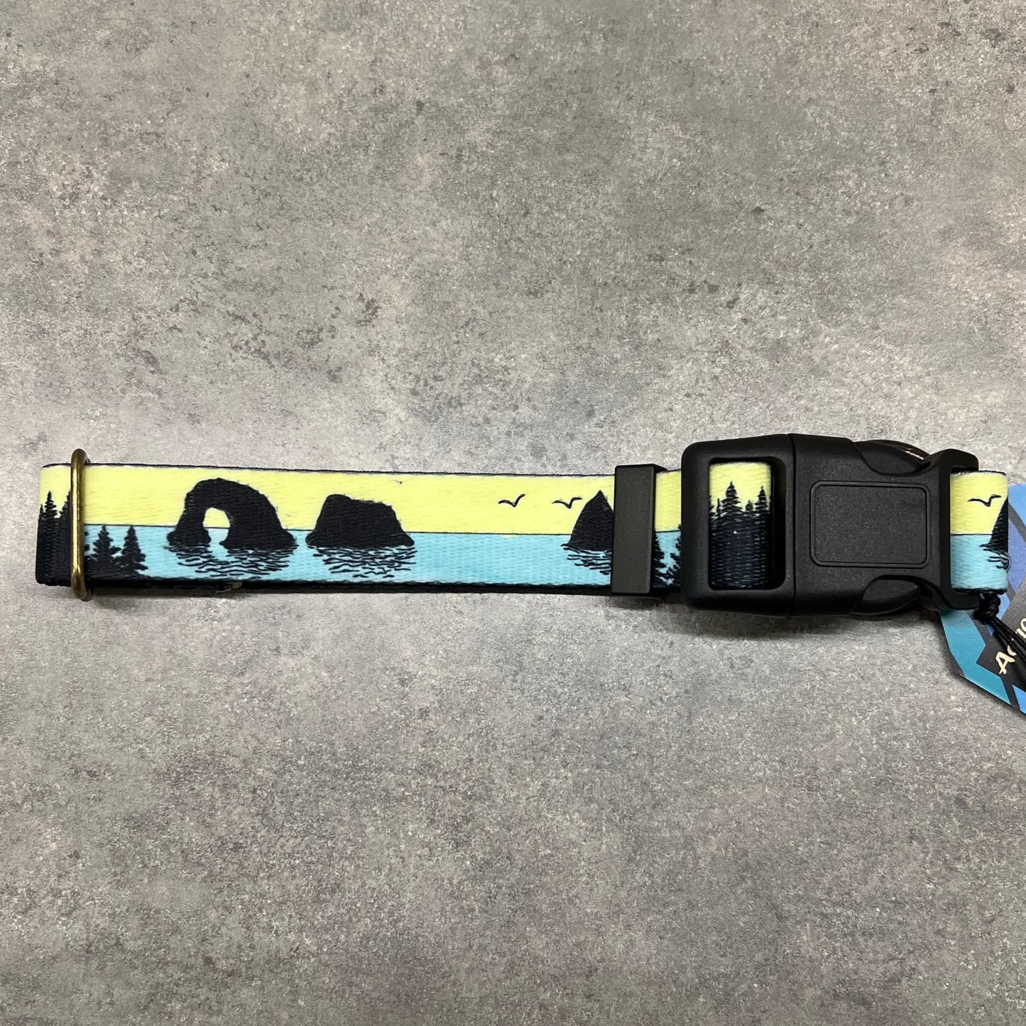 COLOR CHANGING Rockaway and Cannon Beach Dog Collar | Hand Painted Dog Collar