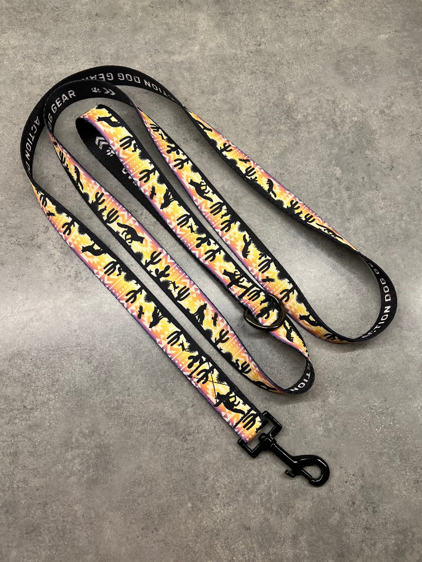 Vibrant Desert | 6ft Leash
