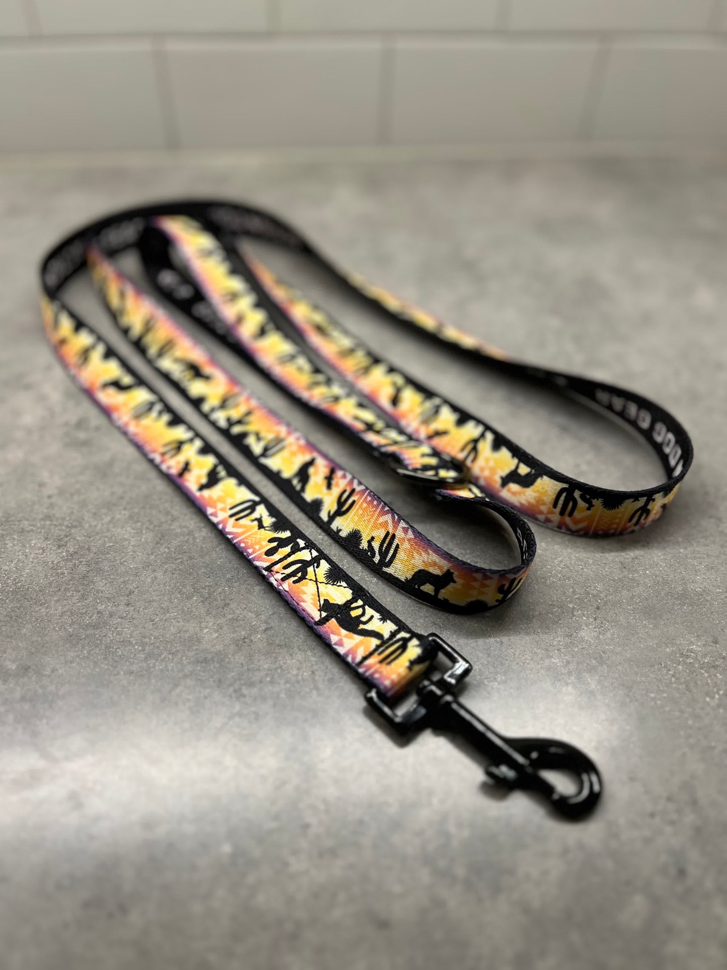 Vibrant Desert | 6ft Leash