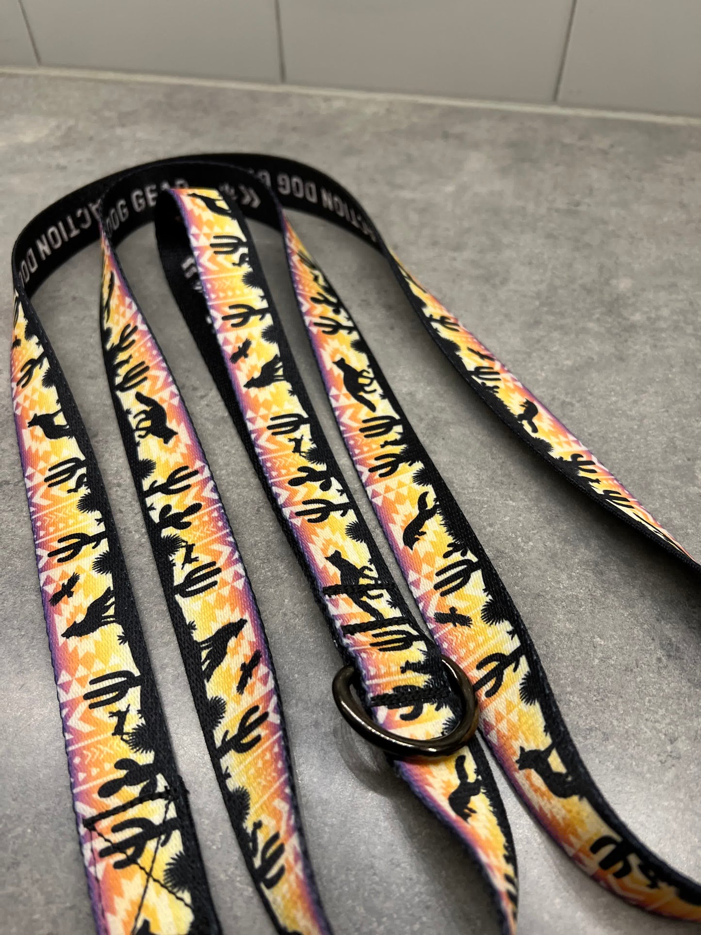 Vibrant Desert | 6ft Leash