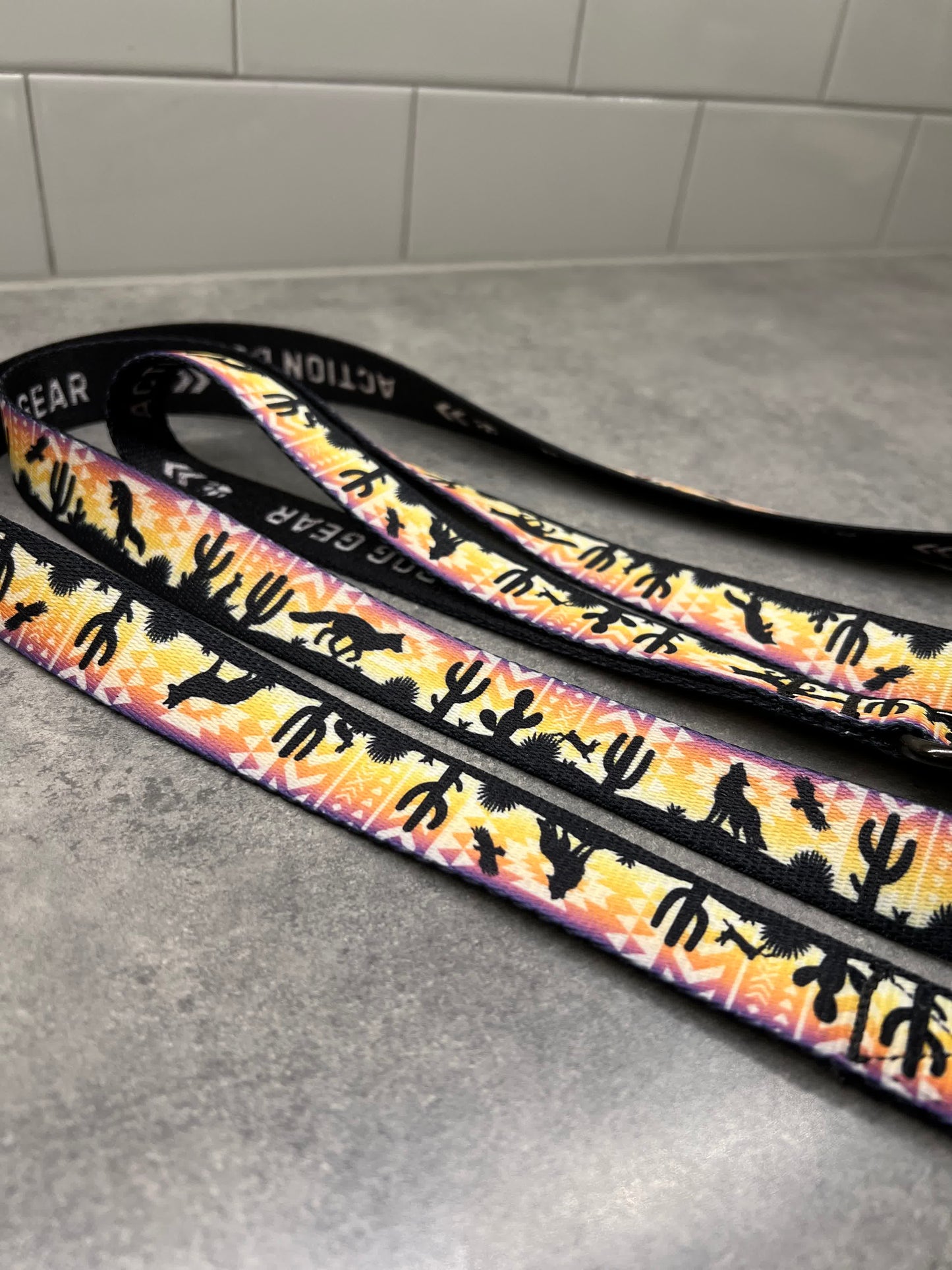 Vibrant Desert | 6ft Leash