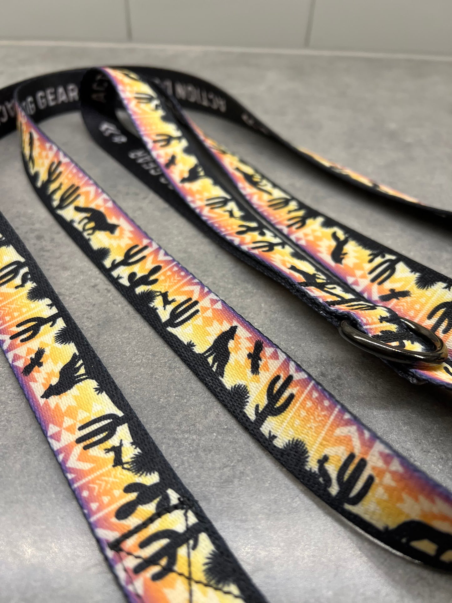 Vibrant Desert | 6ft Leash