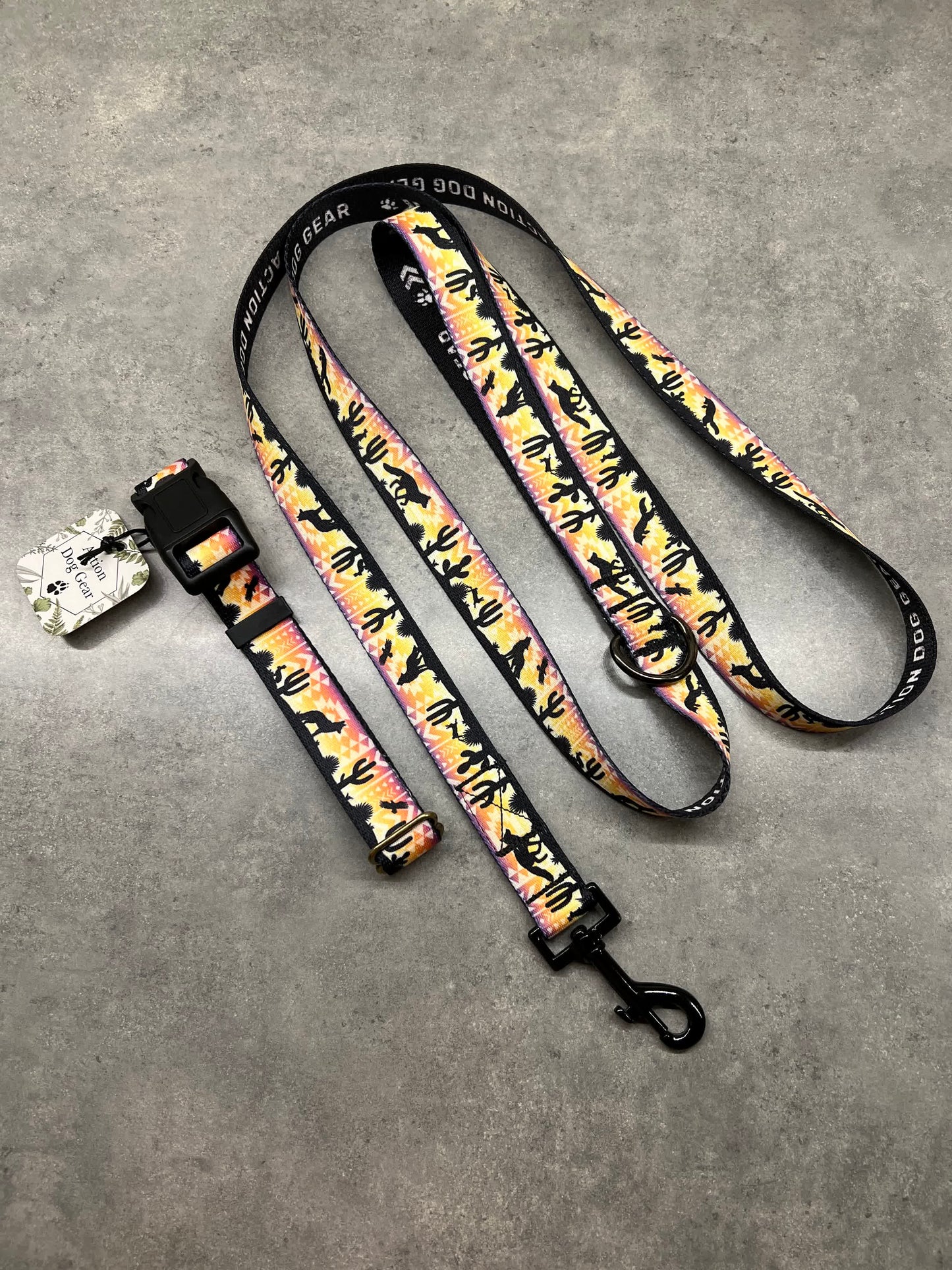 Vibrant Desert | 6ft Leash
