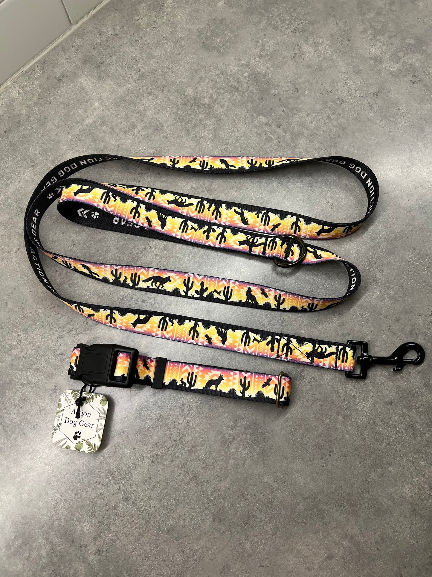 Vibrant Desert | 6ft Leash