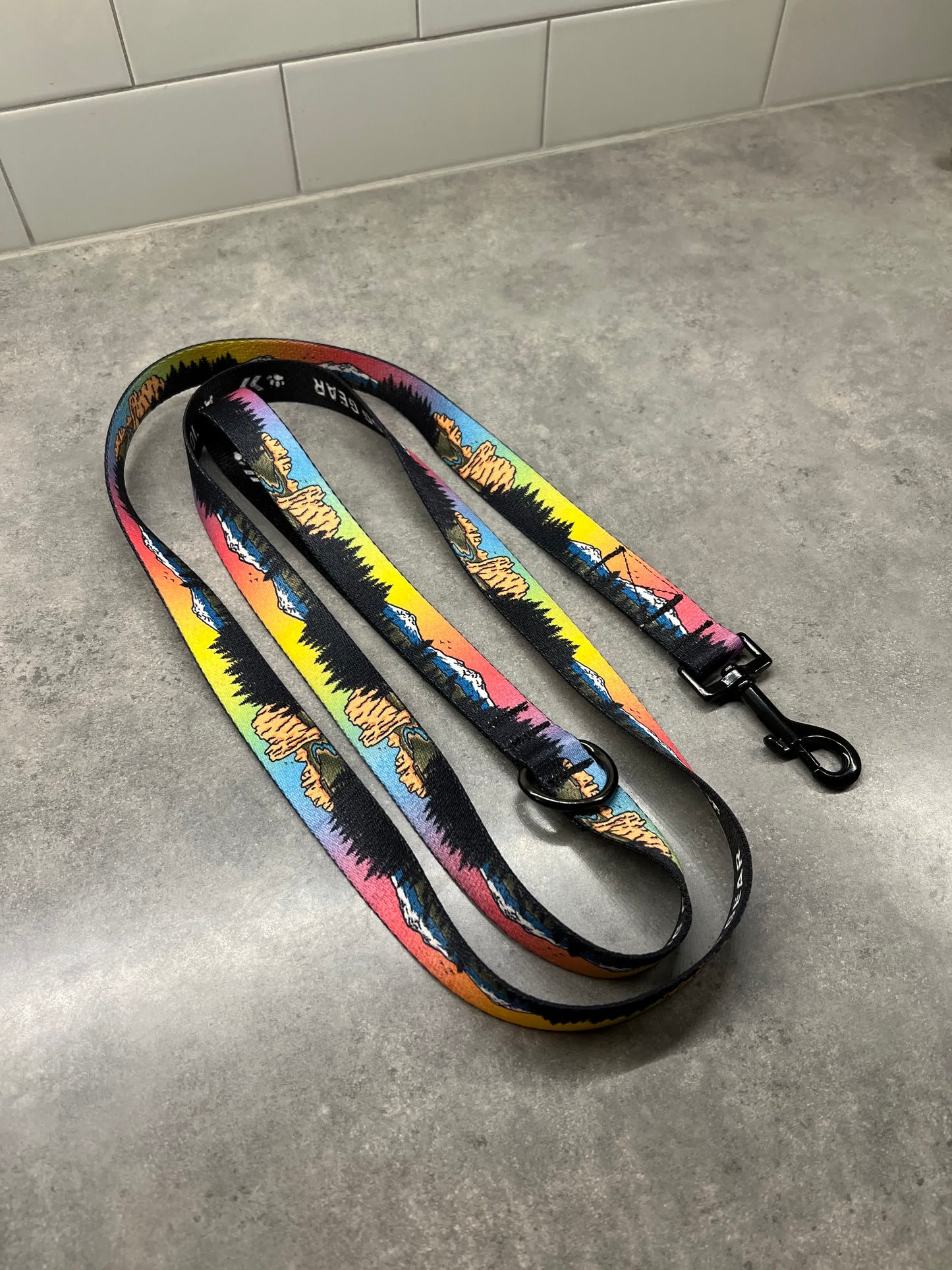 Central Oregon Wonders | 6ft Leash
