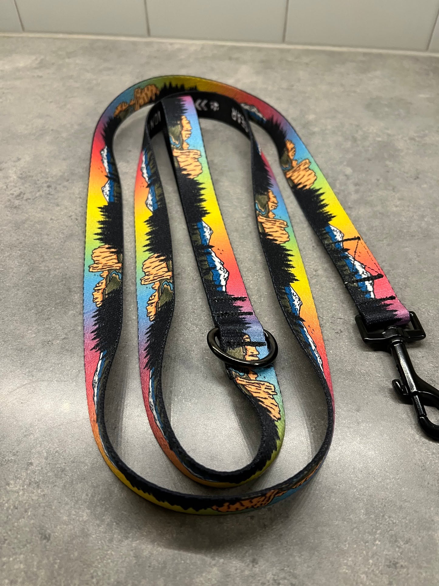 Central Oregon Wonders | 6ft Leash