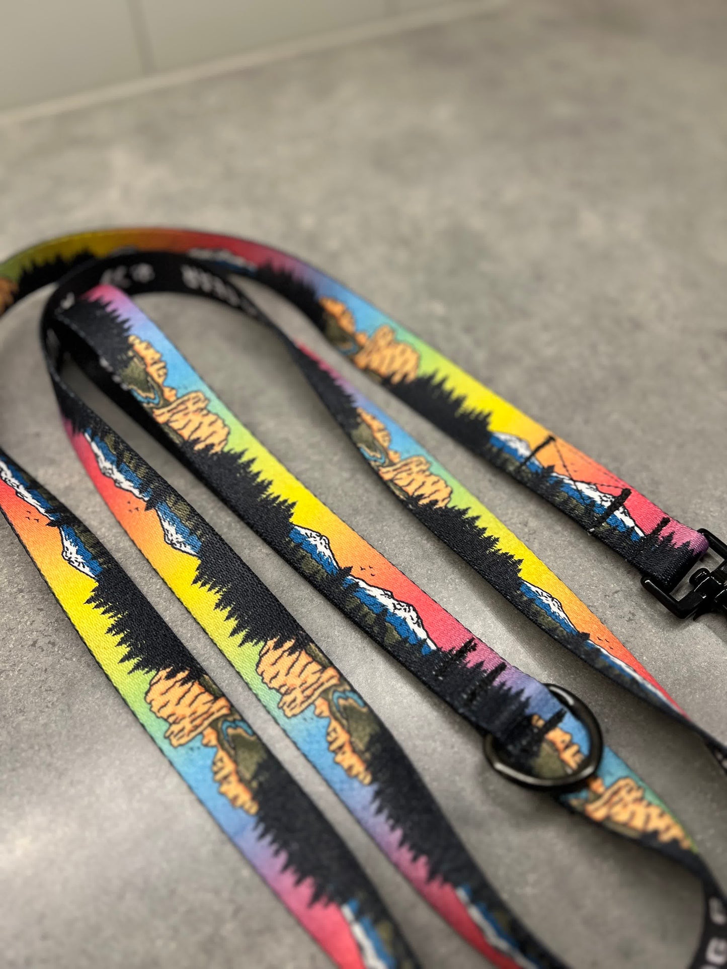 Central Oregon Wonders | 6ft Leash