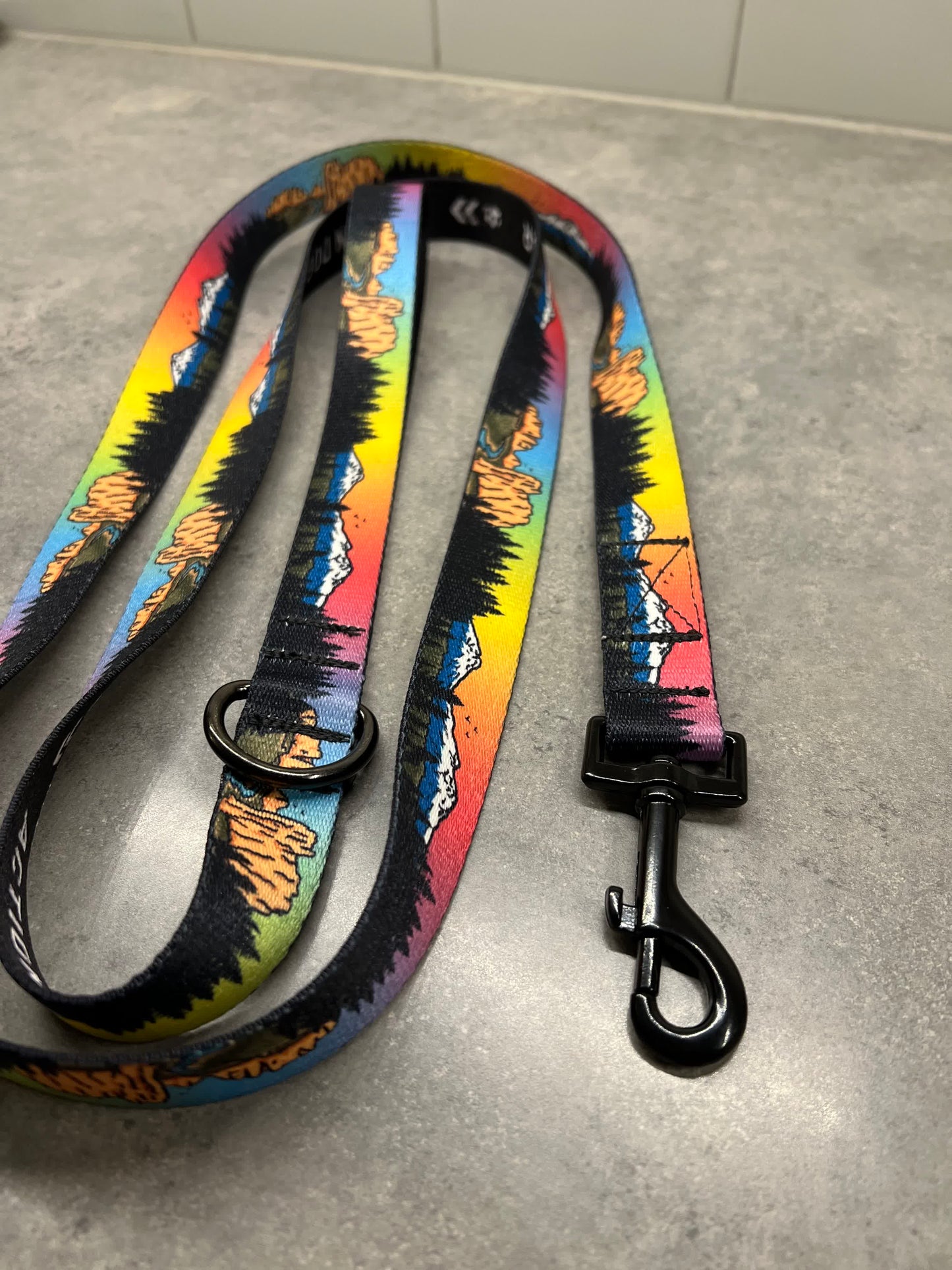 Central Oregon Wonders | 6ft Leash