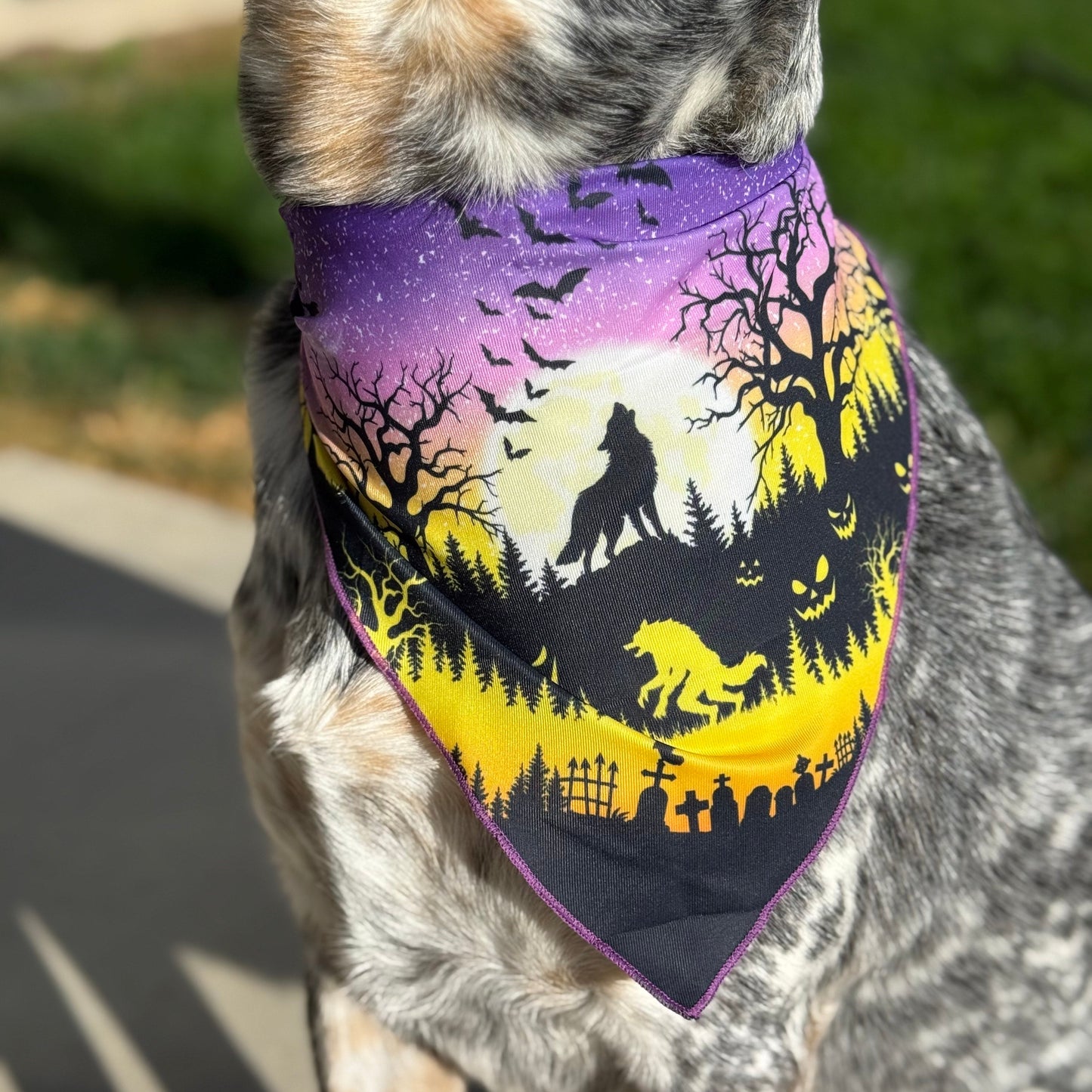 Spooky Howl-O-ween | Tie on Dog Bandana