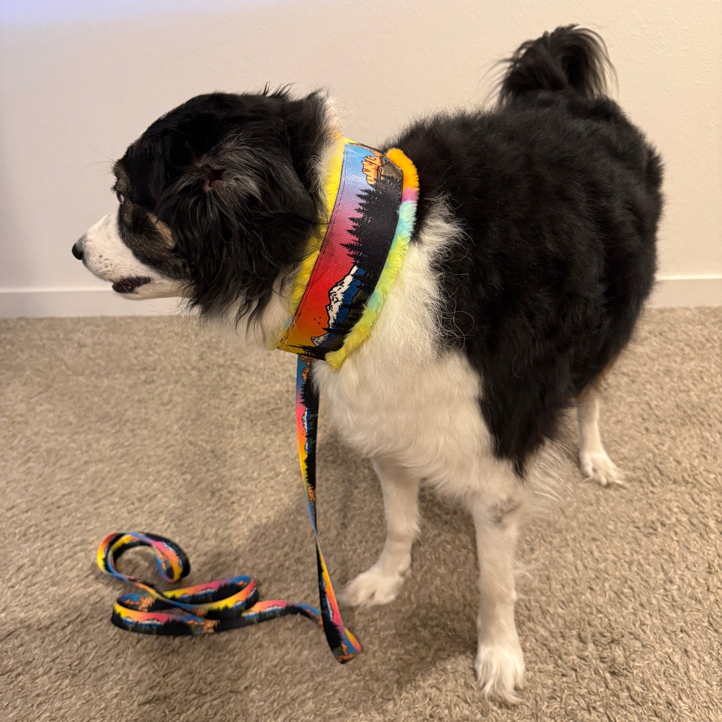 Central Oregon Wonders Minky Slip Leash or Martingale | Handmade