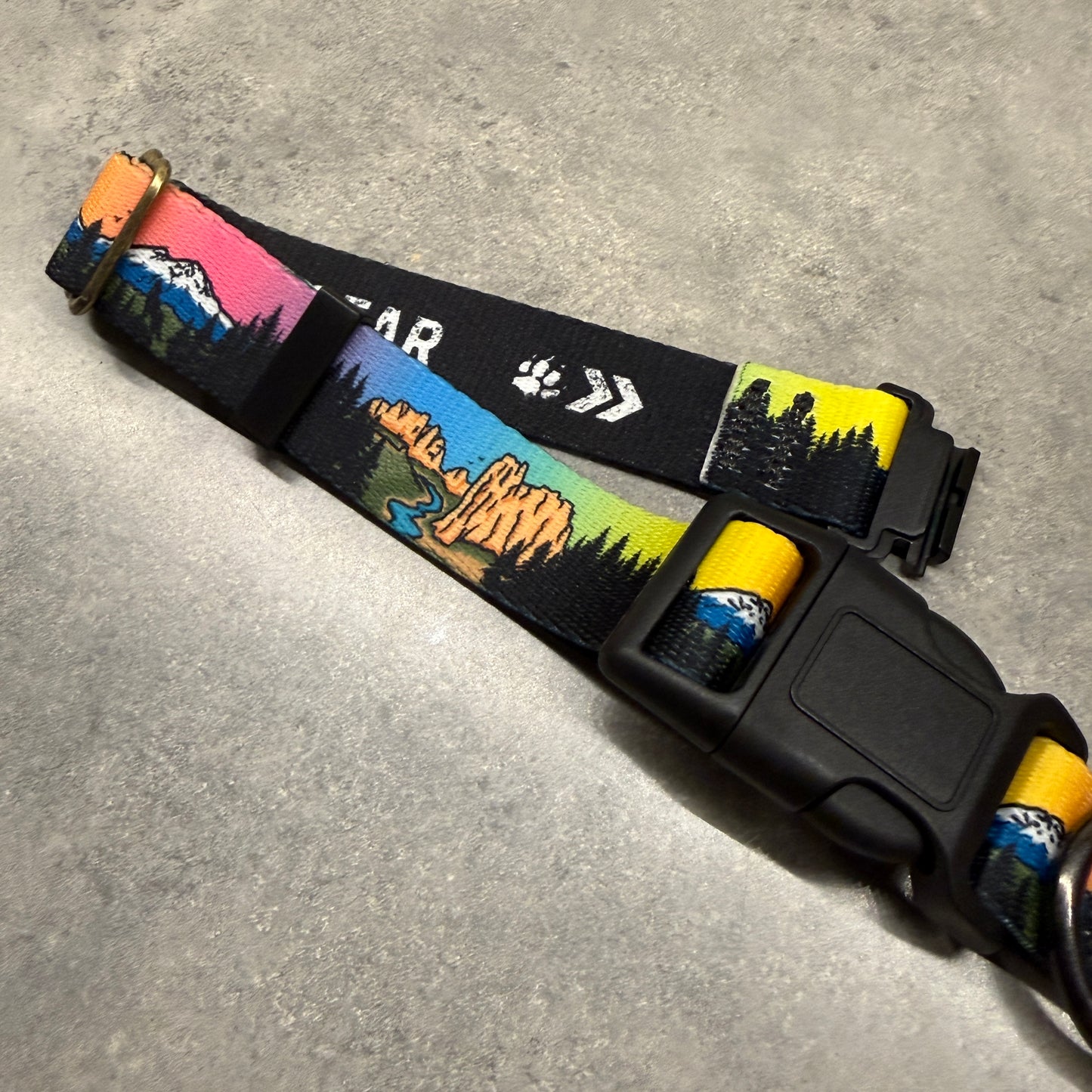 Central Oregon Wonders| FI Series 3/3+ Compatible Collar