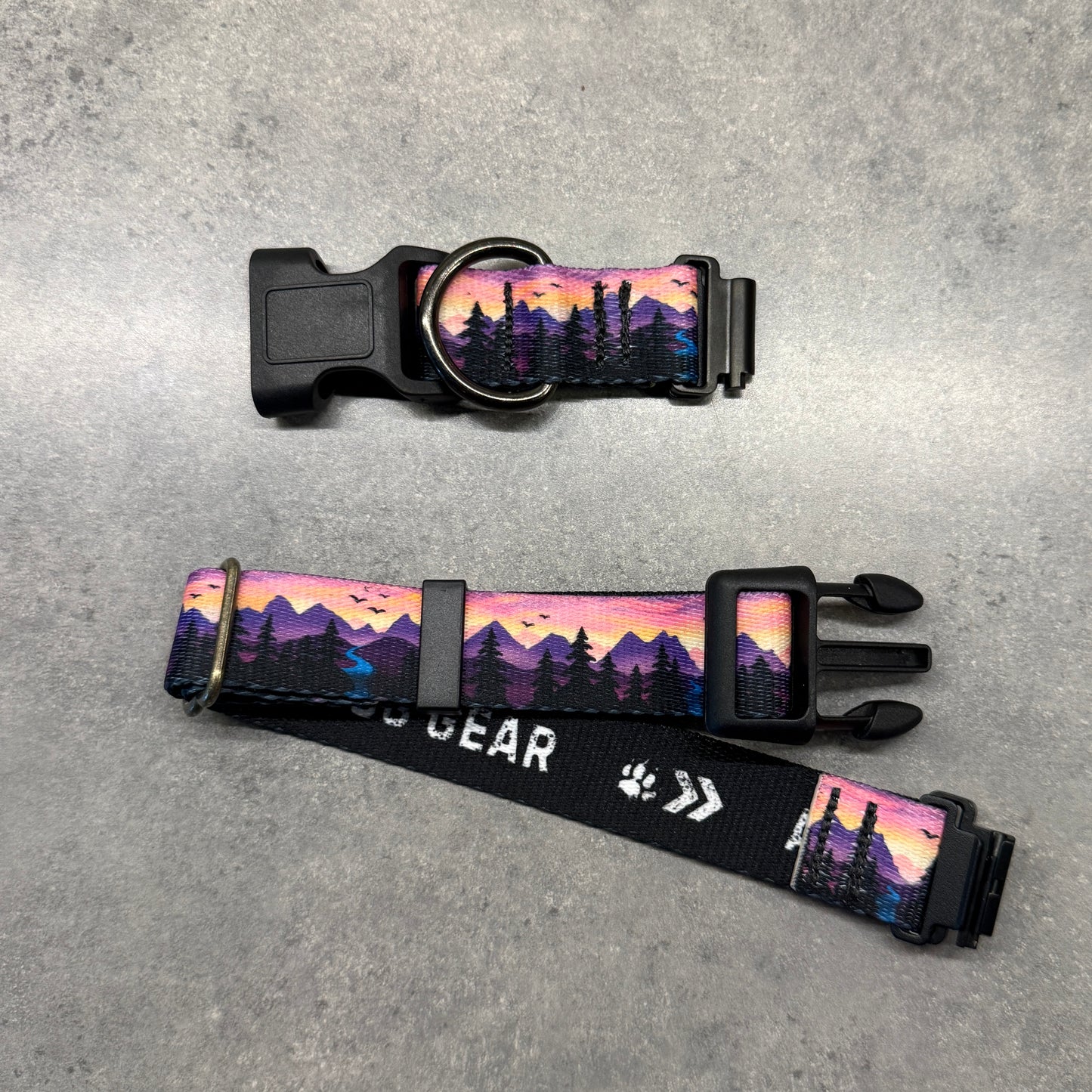 Violet Horizons | FI Series 3/3+ Compatible Collar