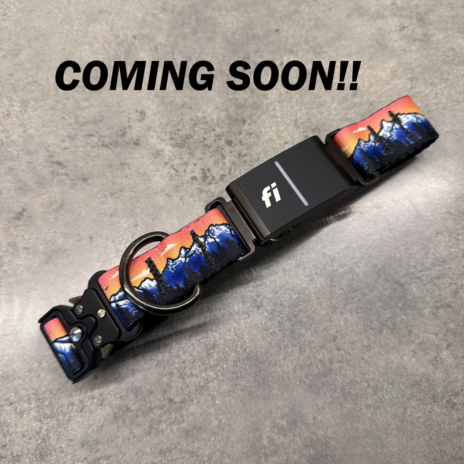 Fi Series 3/+3 Compatible Collars | Action Dog Gear