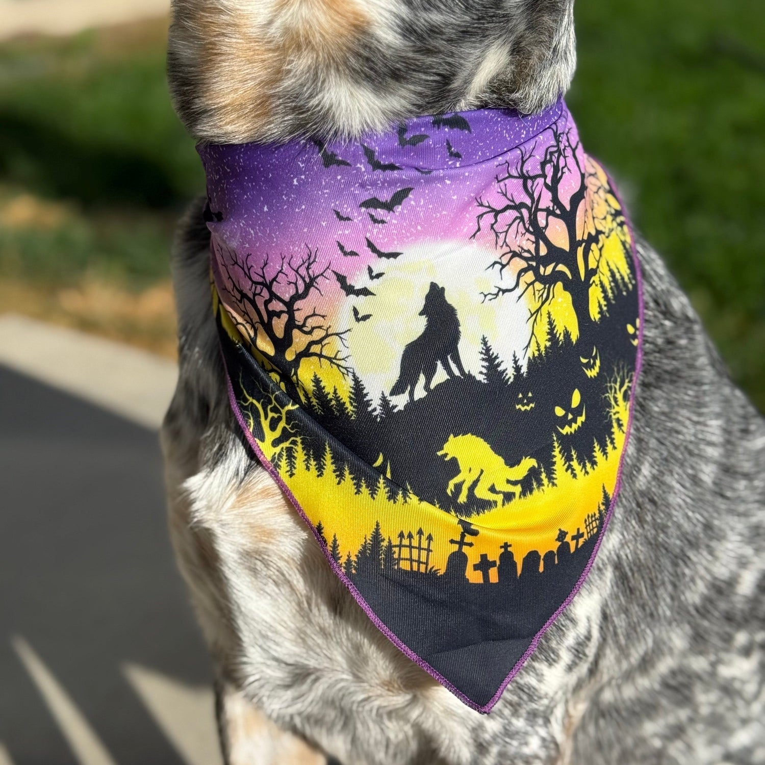 Fall and Howl-O-ween Collection