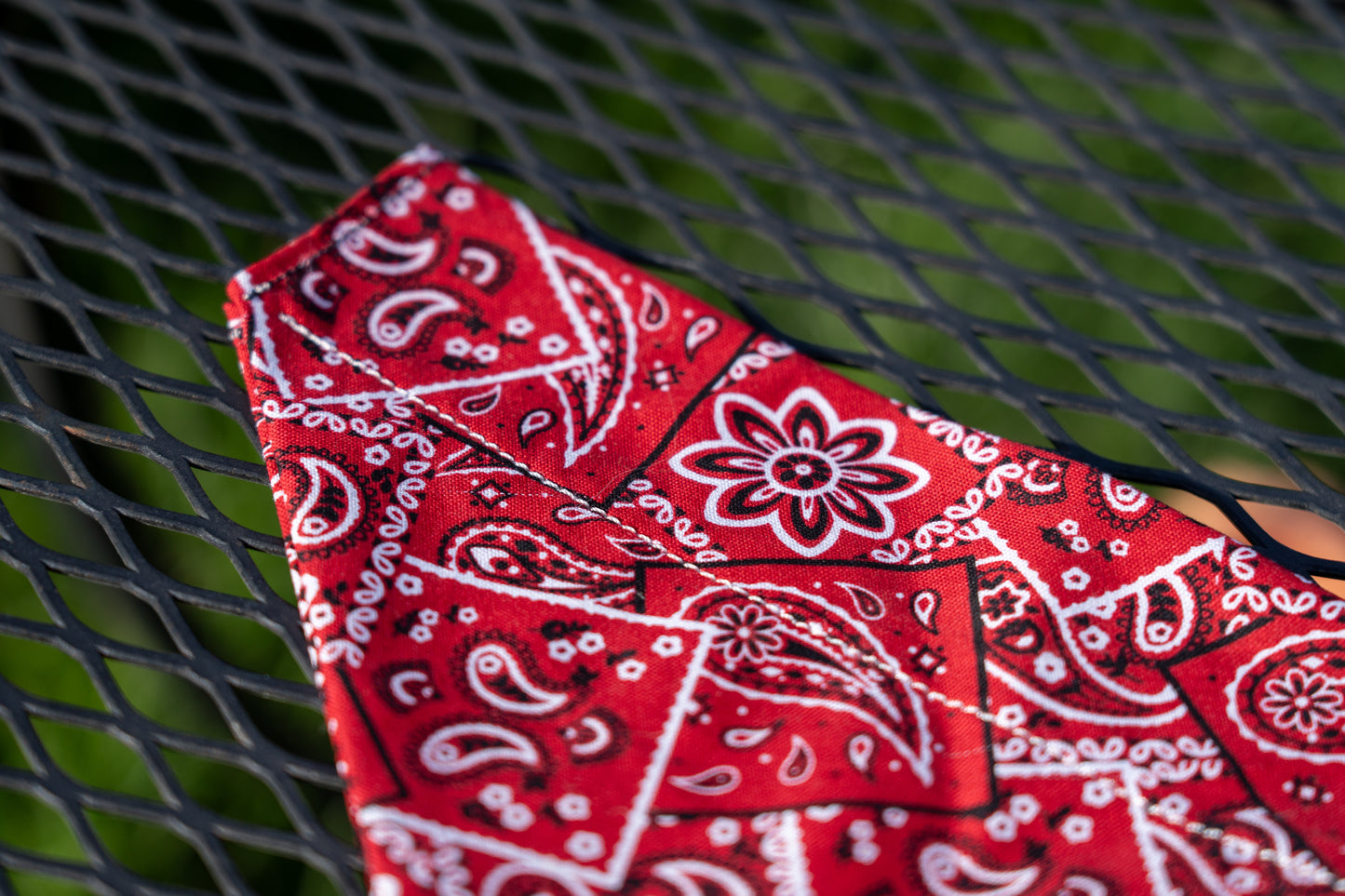 Western Flare Slip-On Bandana