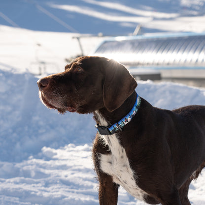 Bluebird Mt. Bachelor | Handmade Dog Collar