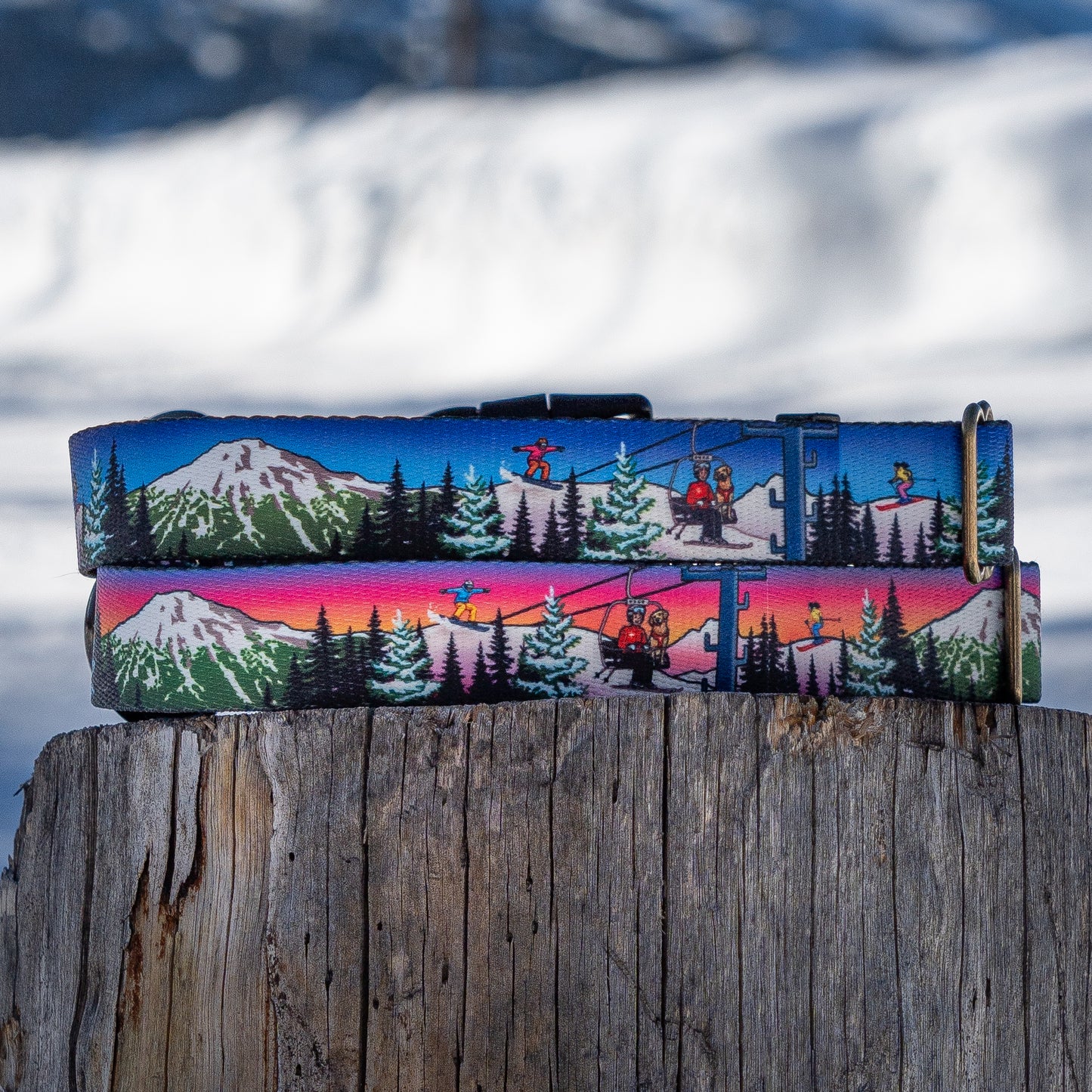 Bluebird Mt. Bachelor | Handmade Dog Collar