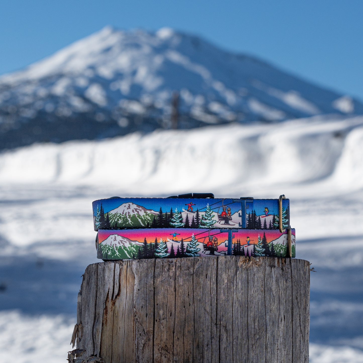 Bluebird Mt. Bachelor | Handmade Dog Collar