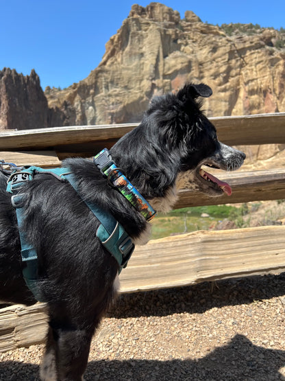 Smith Rock Adventures Dog Collar | Handmade Dog Collar