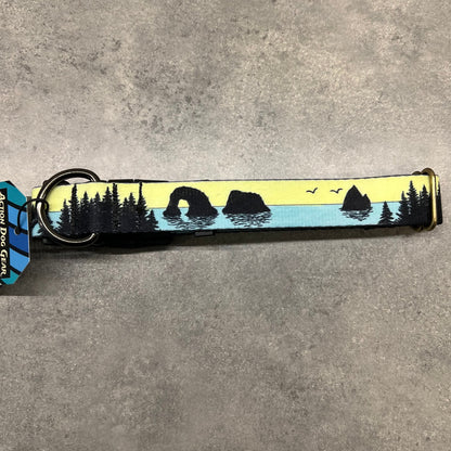 COLOR CHANGING Rockaway and Cannon Beach Dog Collar | Hand Painted Dog Collar