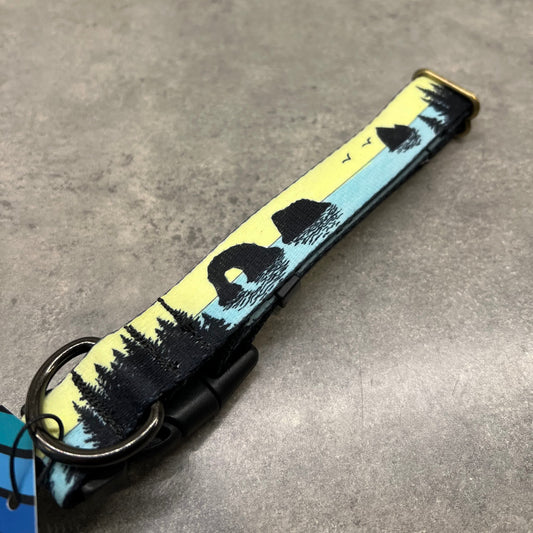 COLOR CHANGING Rockaway and Cannon Beach Dog Collar | Hand Painted Dog Collar