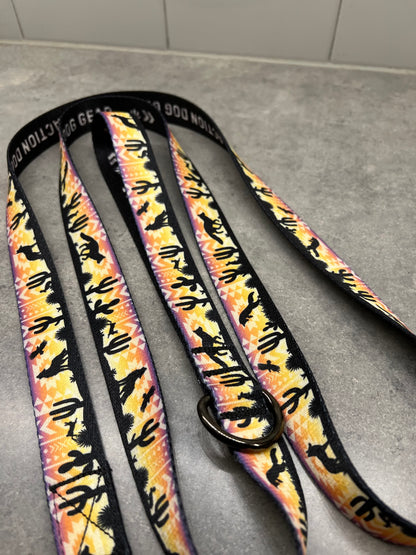 Vibrant Desert | 6ft Leash