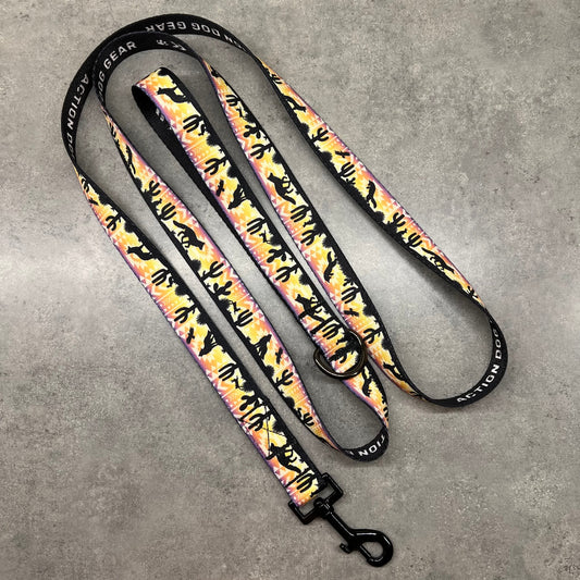 Vibrant Desert | 6ft Leash