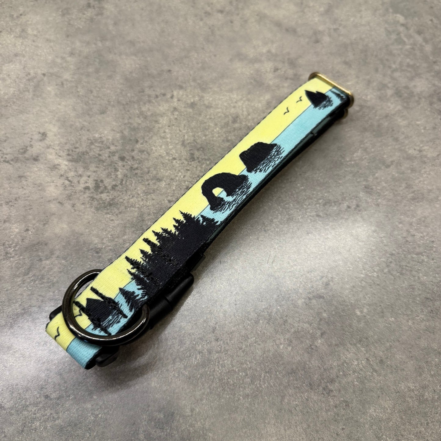 COLOR CHANGING Rockaway and Cannon Beach Dog Collar | Hand Painted Dog Collar