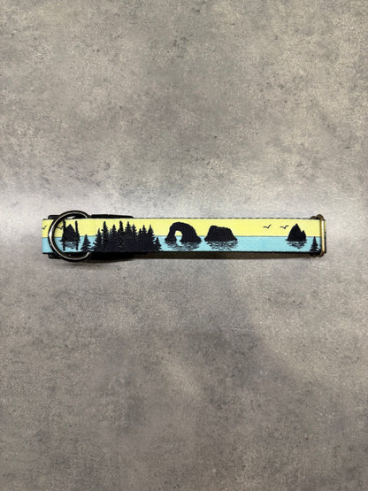 COLOR CHANGING Rockaway and Cannon Beach Dog Collar | Hand Painted Dog Collar