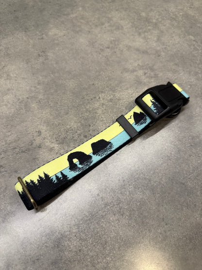COLOR CHANGING Rockaway and Cannon Beach Dog Collar | Hand Painted Dog Collar