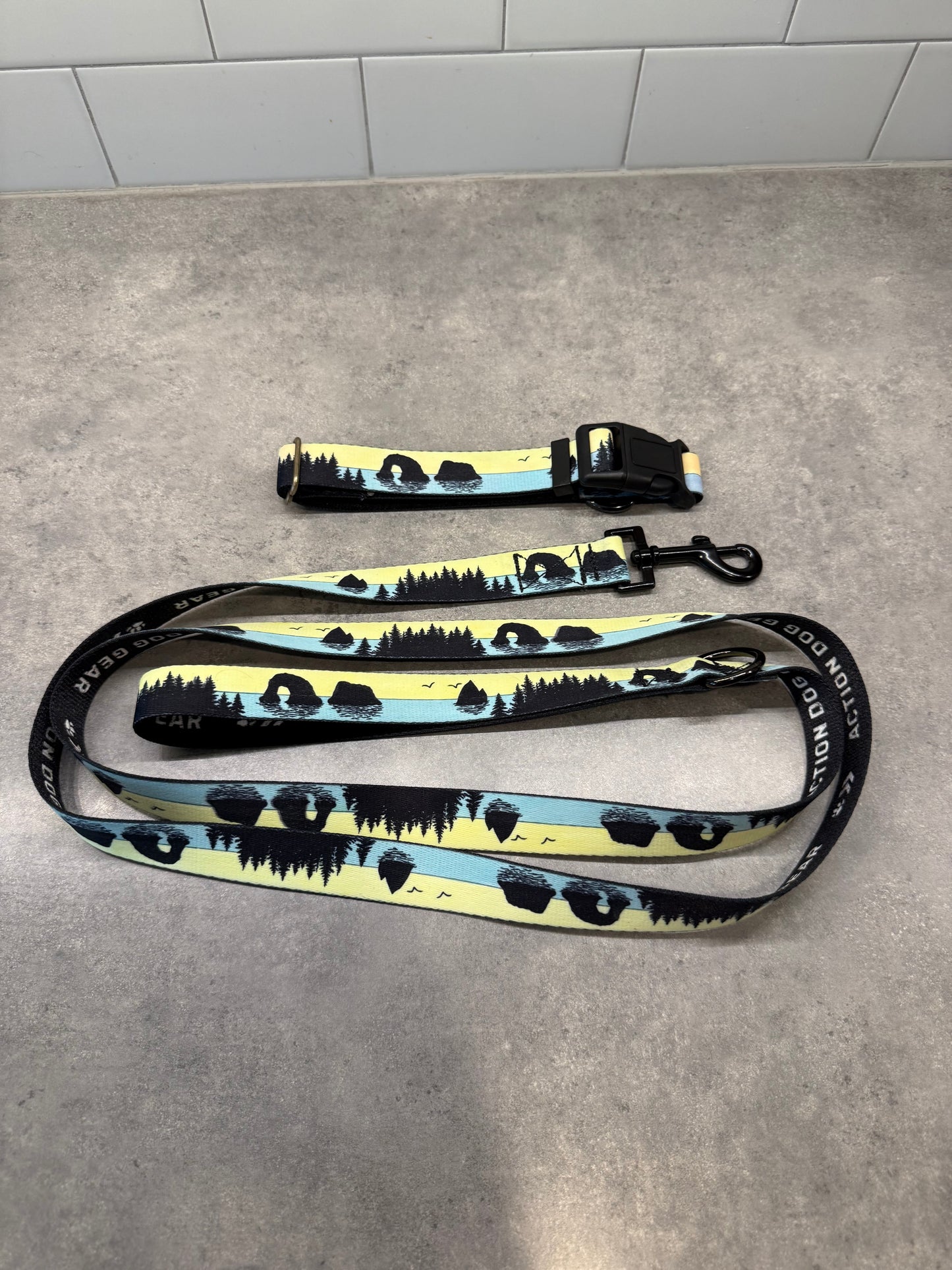 COLOR CHANGING Rockaway and Cannon Beach Dog Collar | Hand Painted Dog Collar