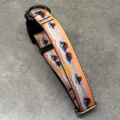 Sunrose Morning - Rockaway and Cannon Beach | Handmade Dog Collar