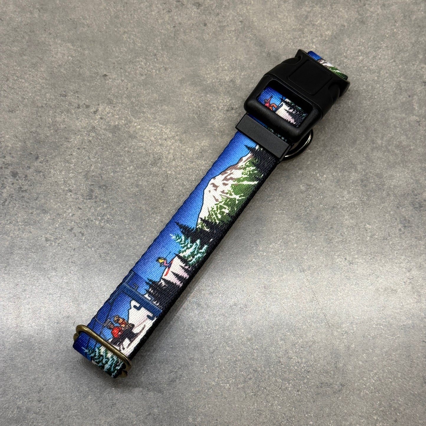 Bluebird Mt. Bachelor | Handmade Dog Collar
